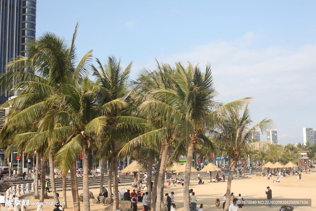 湛江海滨椰林沙滩热闹场景