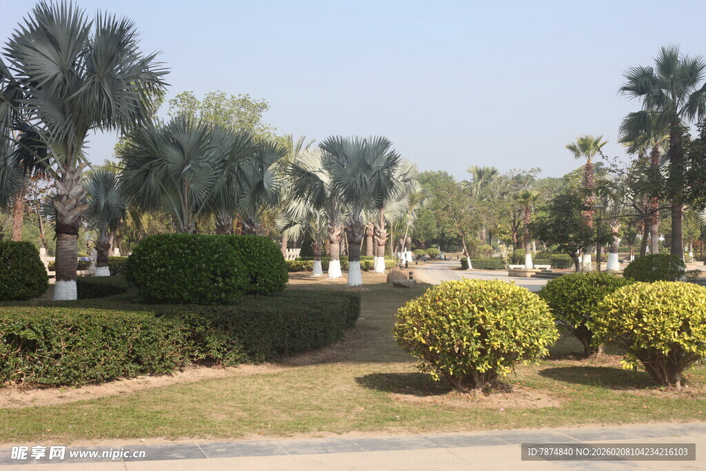 湛江园林景观中的绿植与灌木