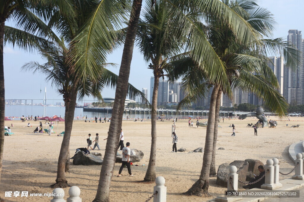 湛江海滨沙滩椰树下的休闲场景