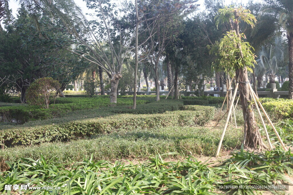 湛江公园绿意盎然的景观