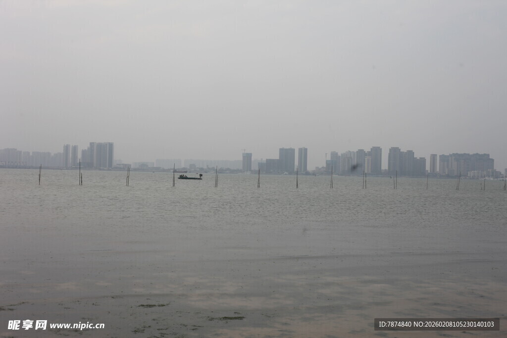 湛江雾中城市与水域景观