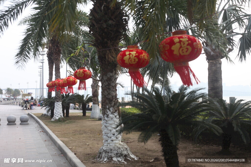 湛江街道旁挂着喜庆红灯笼