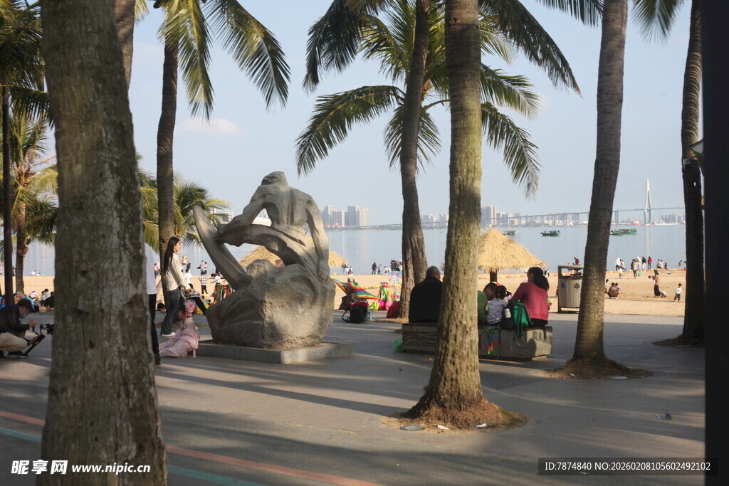 湛江海滨椰树下的休闲场景