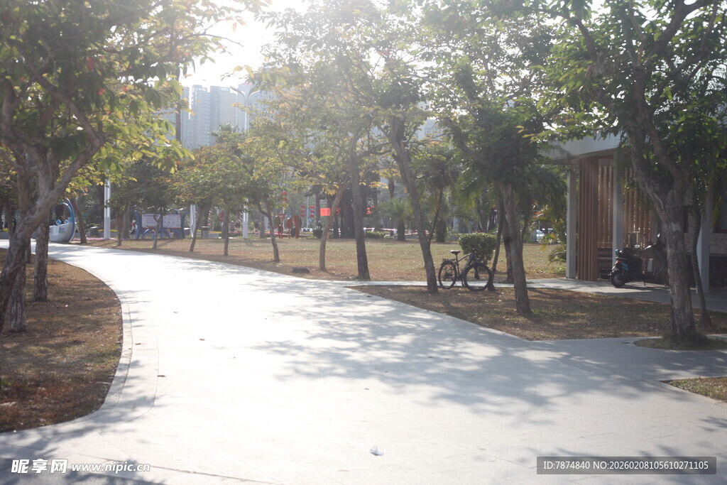 湛江阳光照耀下的林间小道