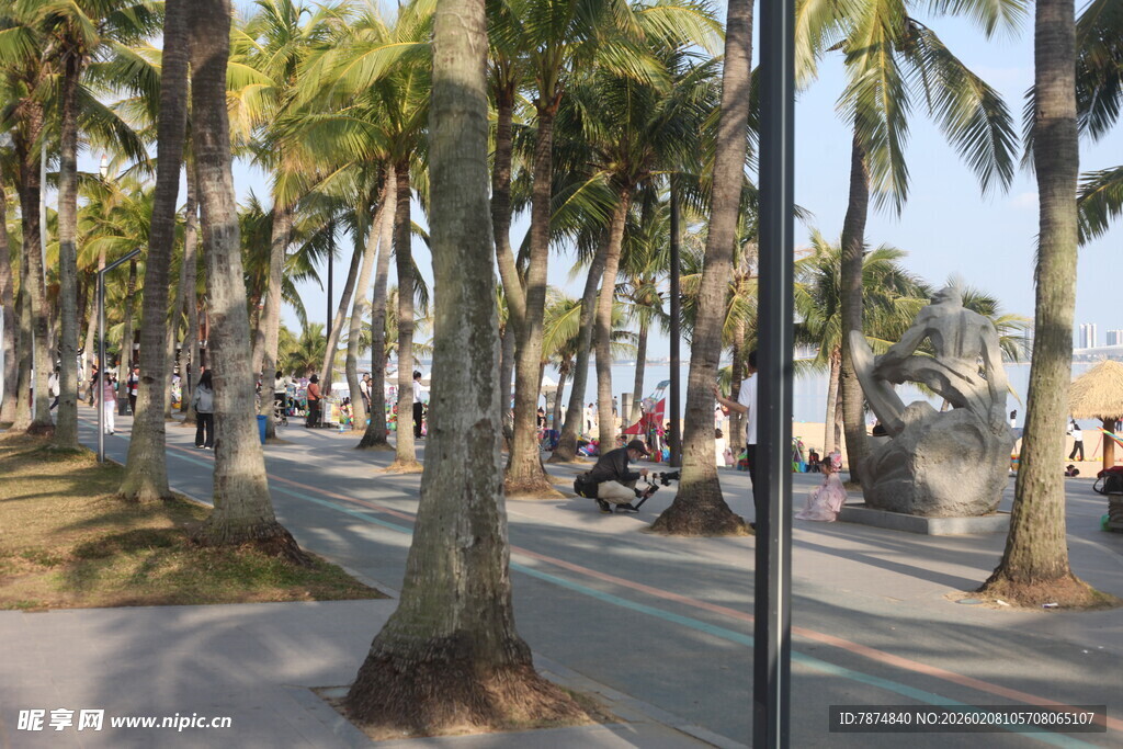 湛江海滨椰林旁的休闲街道