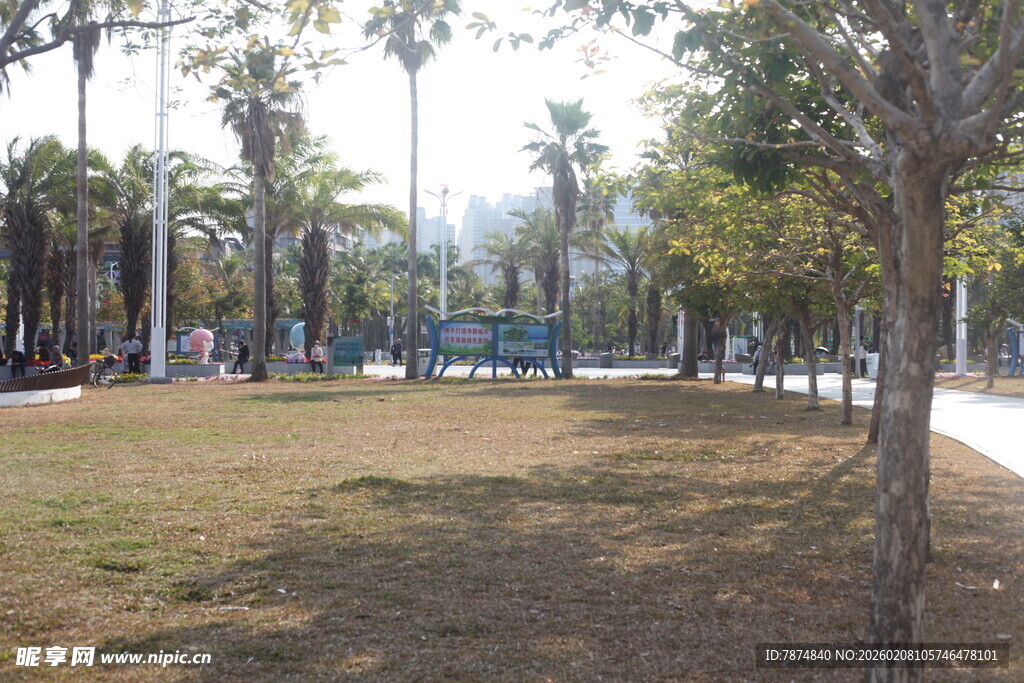 湛江城市中的开阔绿地景观