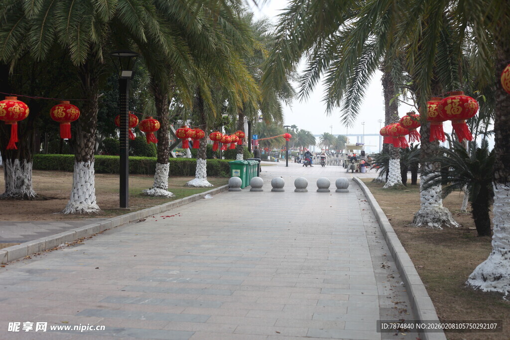 椰树下的红灯笼装饰街道