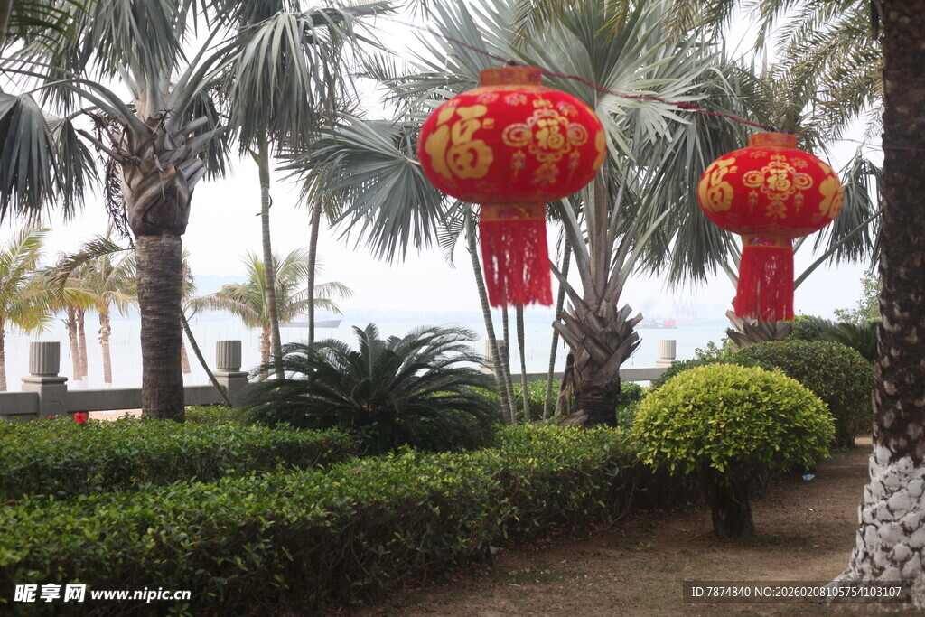 园林中悬挂的喜庆红灯笼