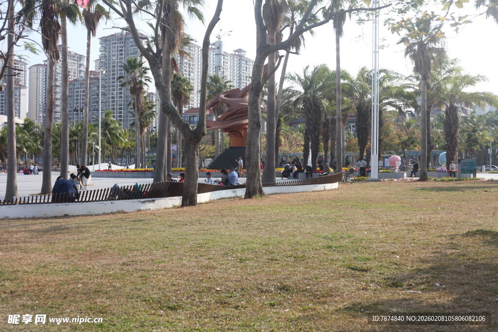 城市公园中的开阔草地景观