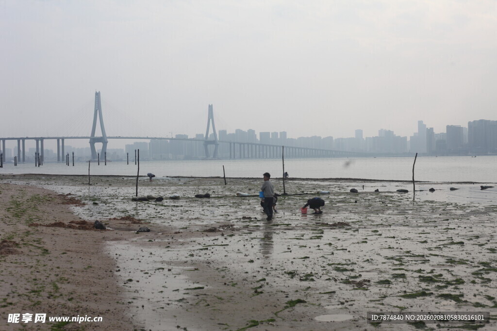 湛江江边滩涂漫步景象