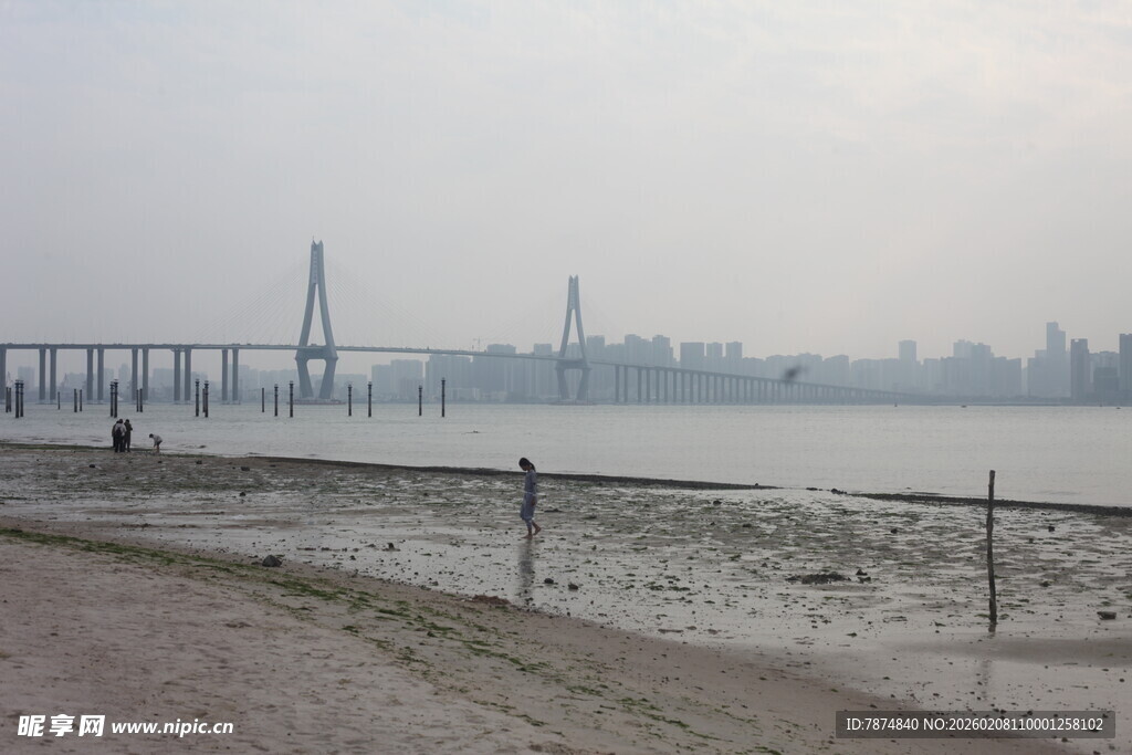湛江江边大桥远景