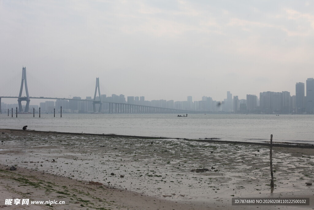 湛江江边城市景观远眺