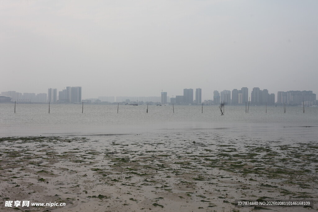 湛江城市边的滩涂景观