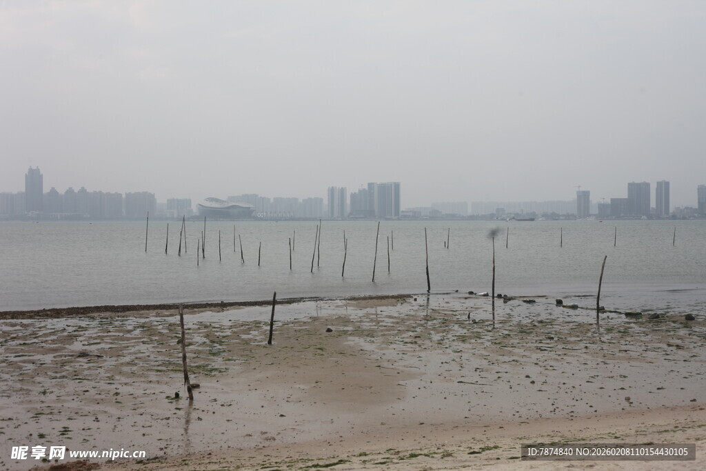 湛江江边滩涂与远处城市景观