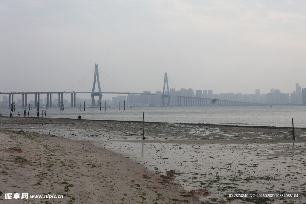 湛江江边滩涂与远处桥梁景观