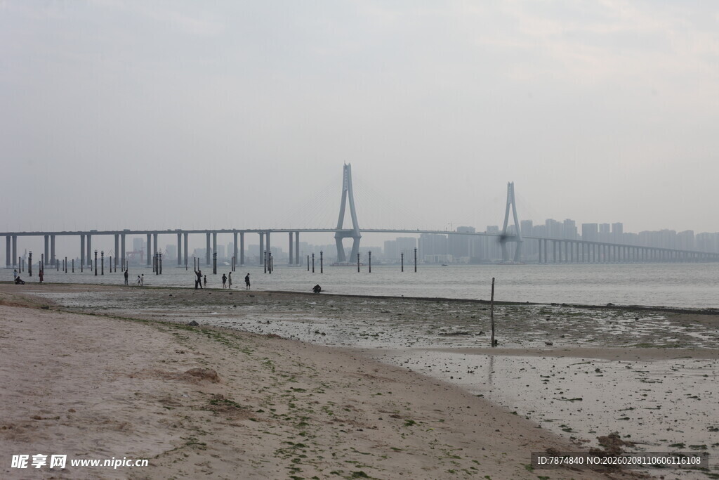 湛江江边大桥远景