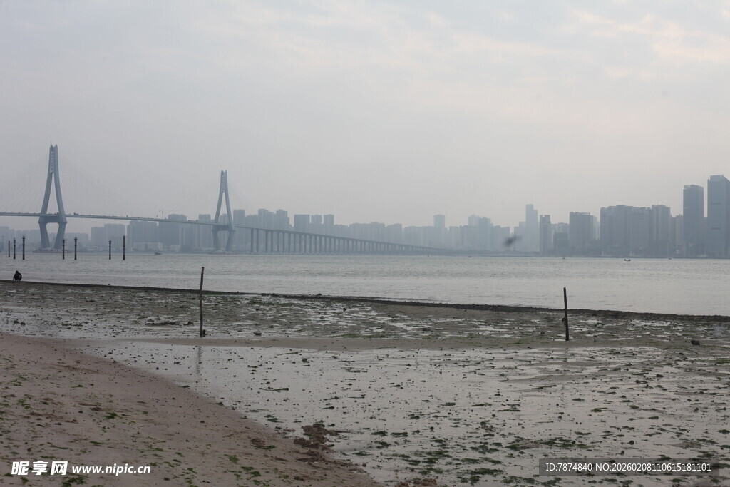 湛江江边城市景观与桥梁远景