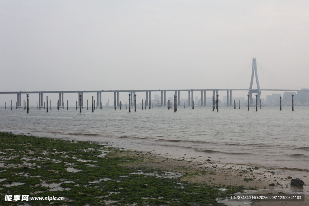 湛江海边大桥远景