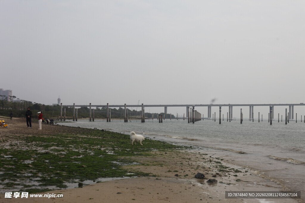 湛江海边长桥景色