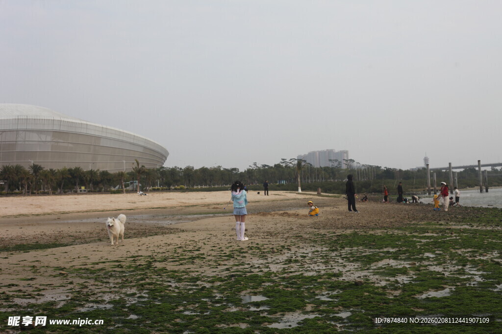 湛江户外草地休闲场景