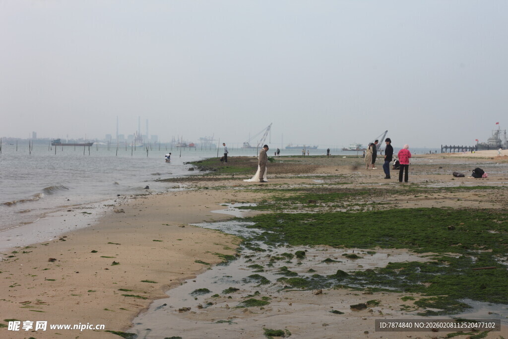 湛江海边漫步的人群与湿地景观