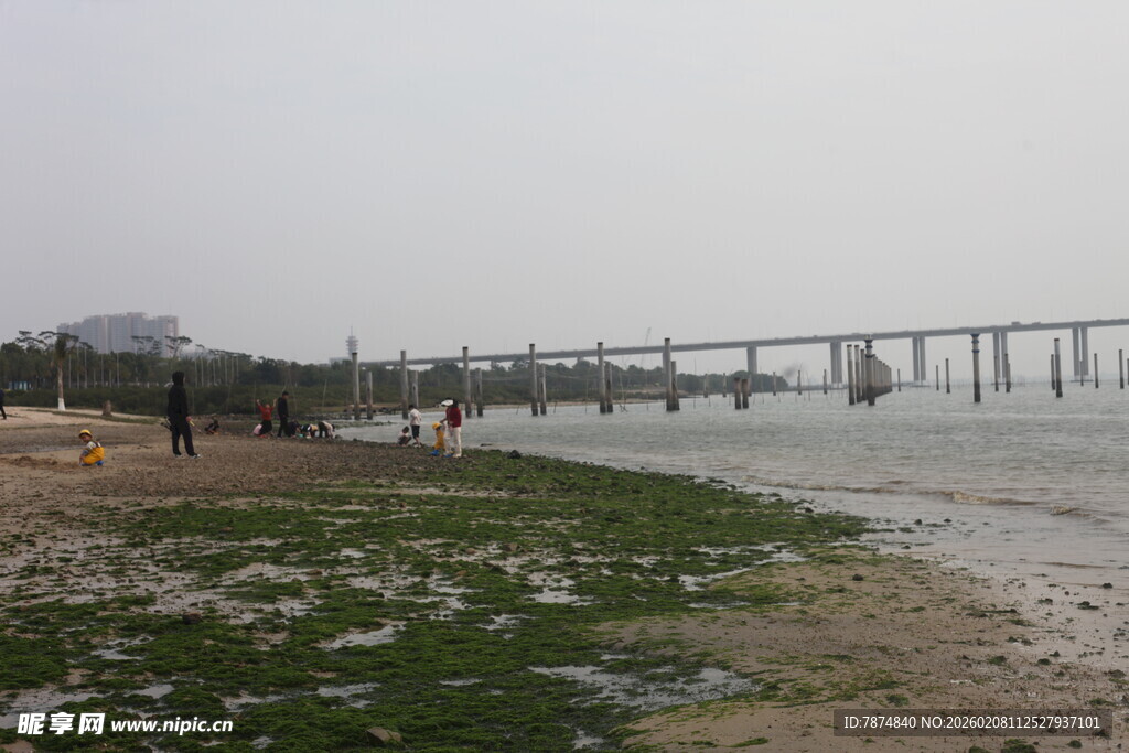 湛江江边桥梁与岸边景致