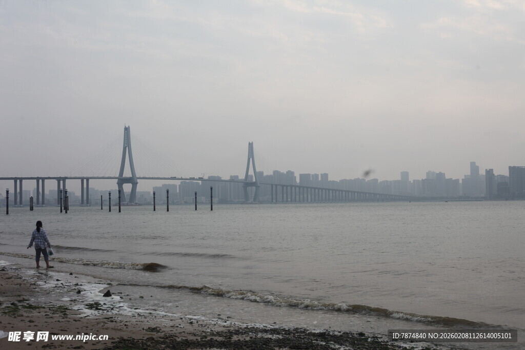 湛江江边大桥下的静谧景象
