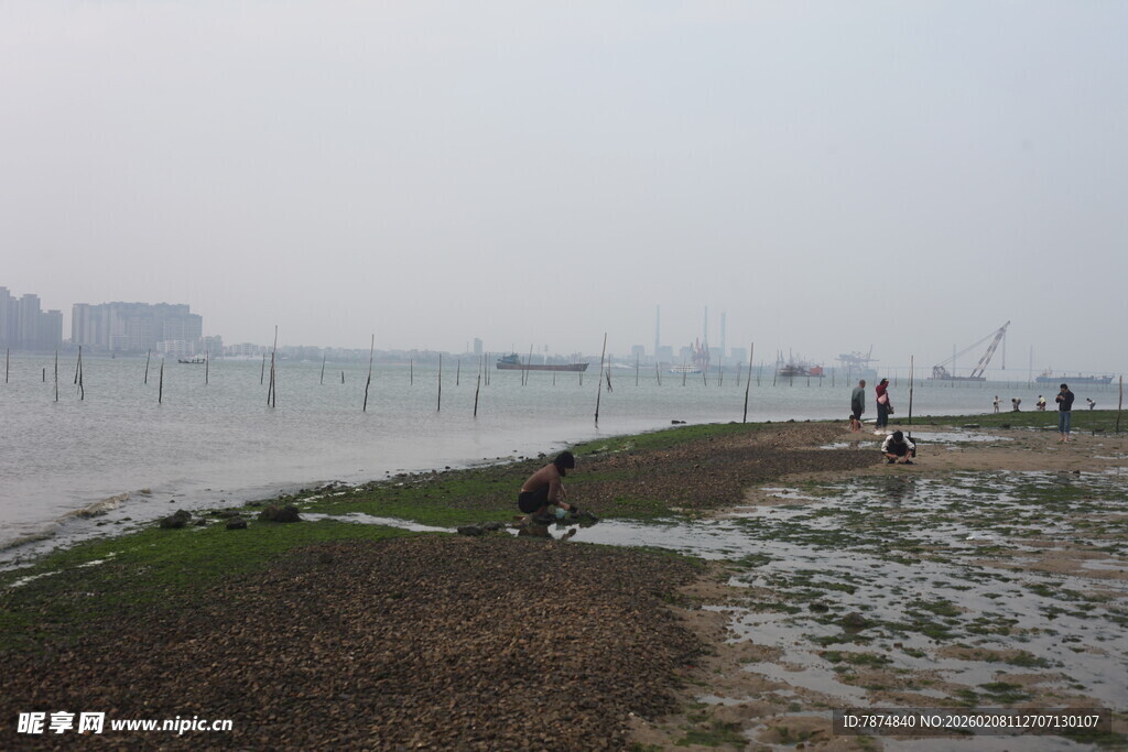 湛江海边湿地景象