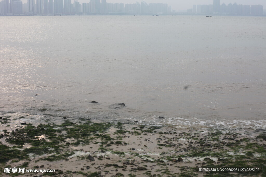 湛江江边滩涂景象