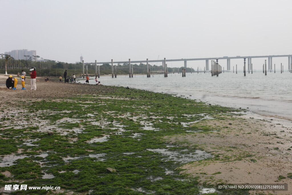 湛江海滨栈桥旁的滩涂景象