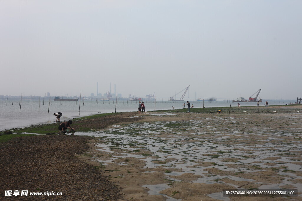 湛江海边滩涂有人垂钓景象