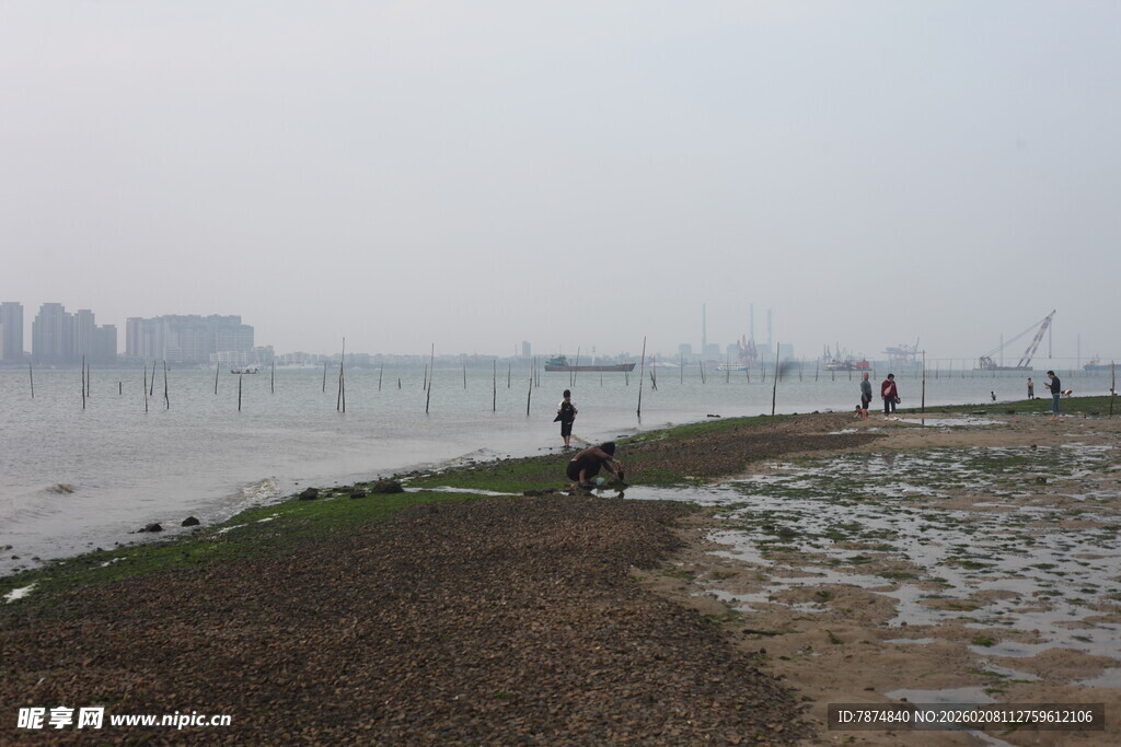 湛江雾中江边景致