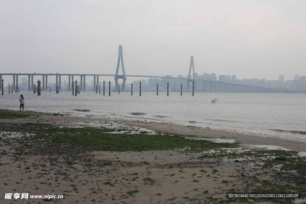 湛江江边大桥远景