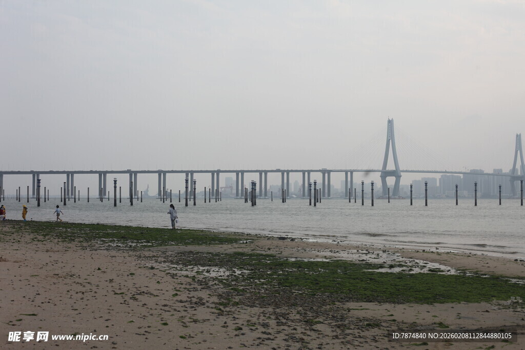 湛江海边大桥远景