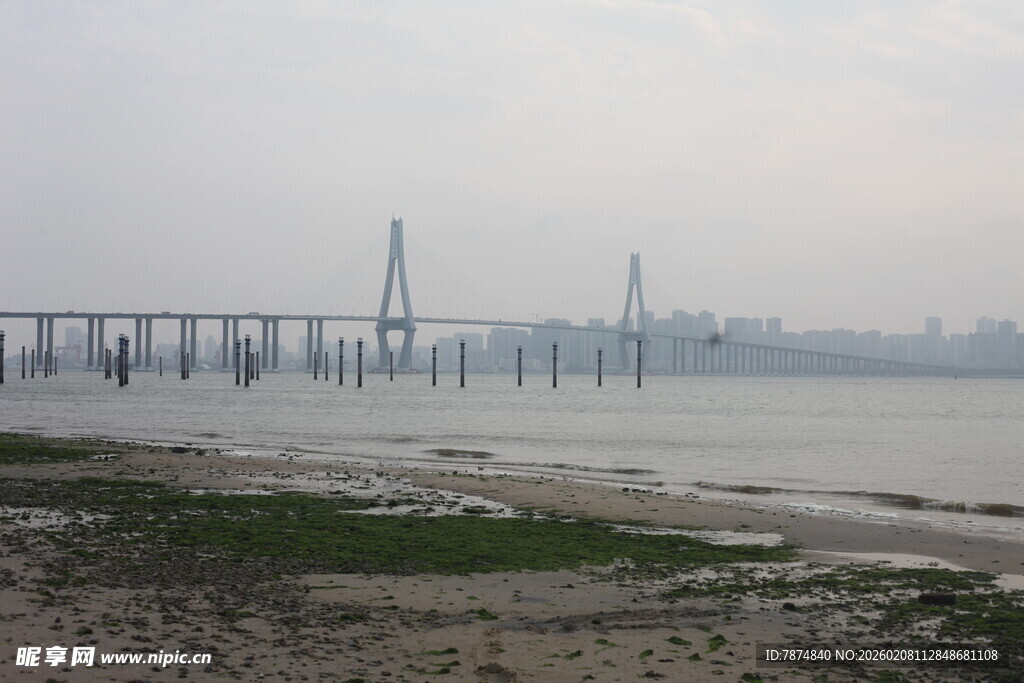 湛江江边大桥远景