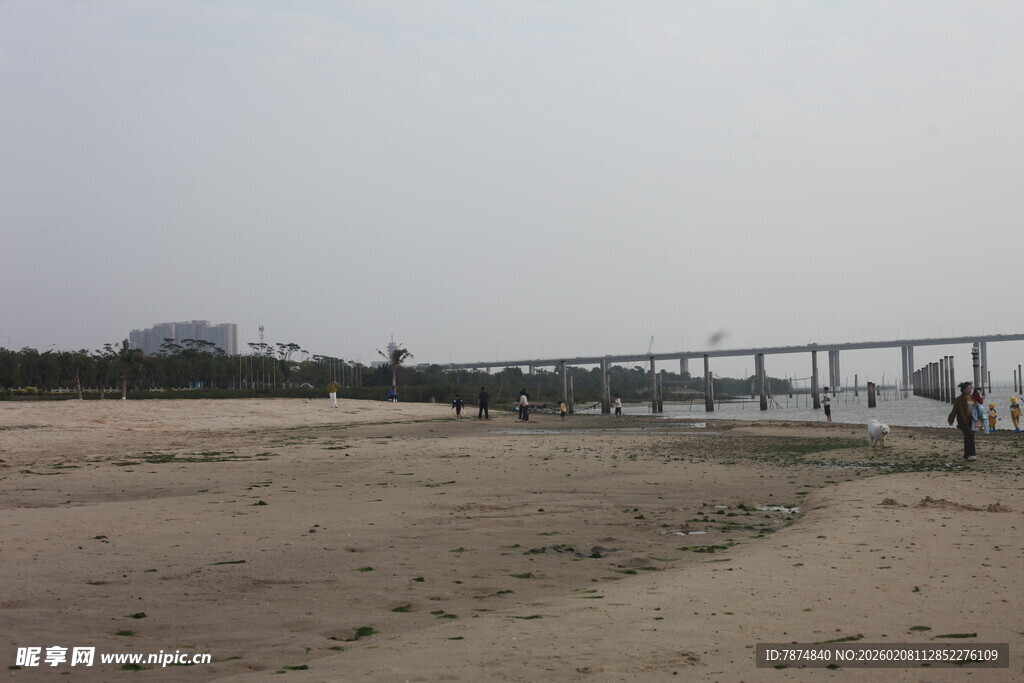湛江空旷沙地旁的高架桥
