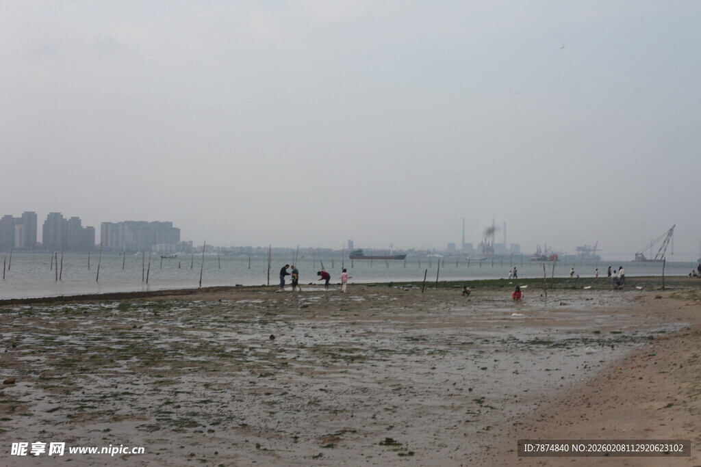 湛江海滨滩涂景象