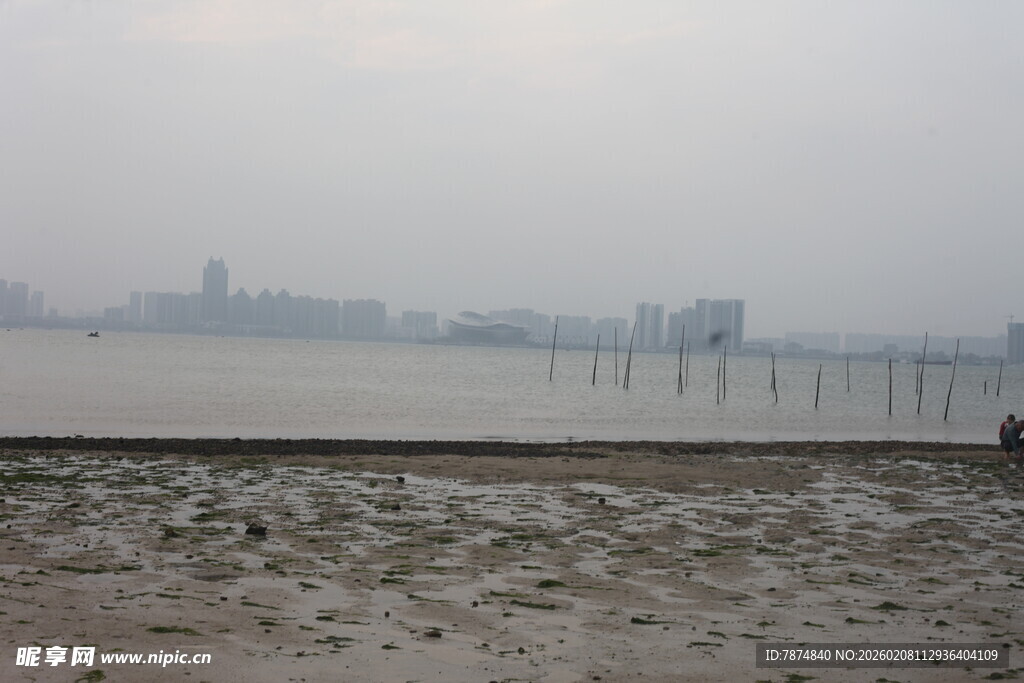 湛江海边滩涂与远处城市景观