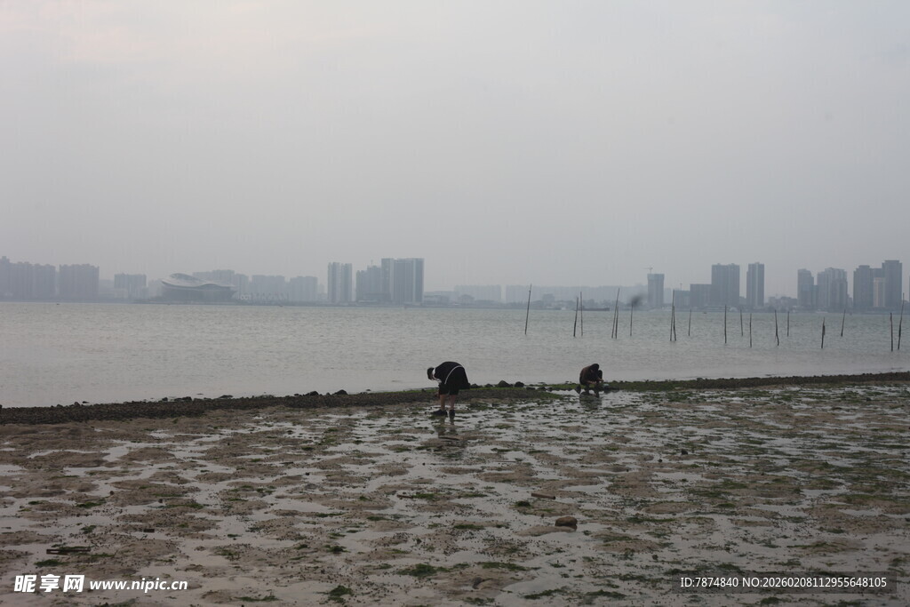 湛江江边沙滩上的悠闲景象