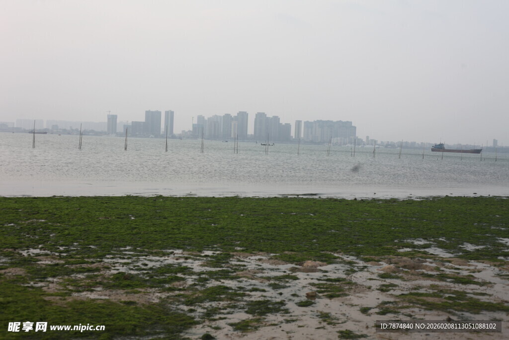 湛江海滨城市远景与岸边湿地