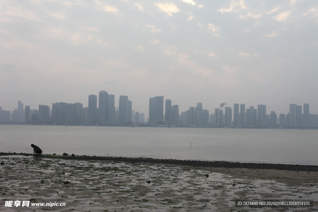 湛江江边城市天际线景观