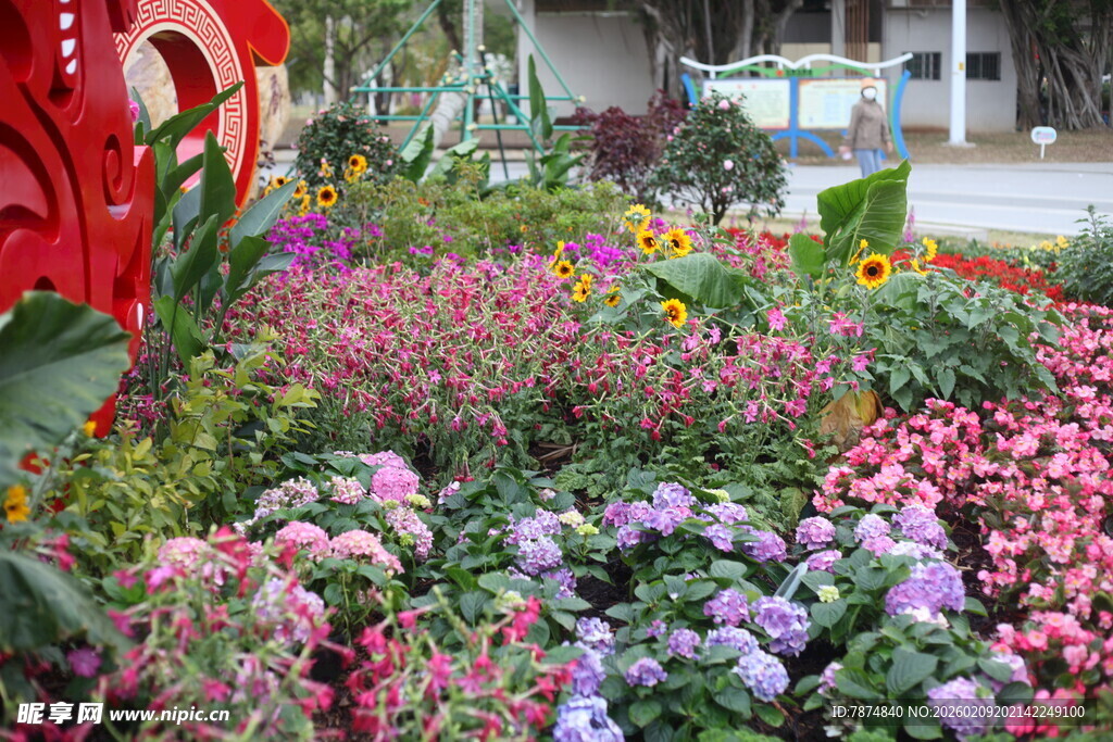 多彩花卉装点美丽花园
