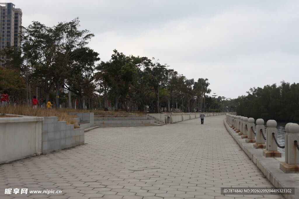 城市中宁静的林荫步道
