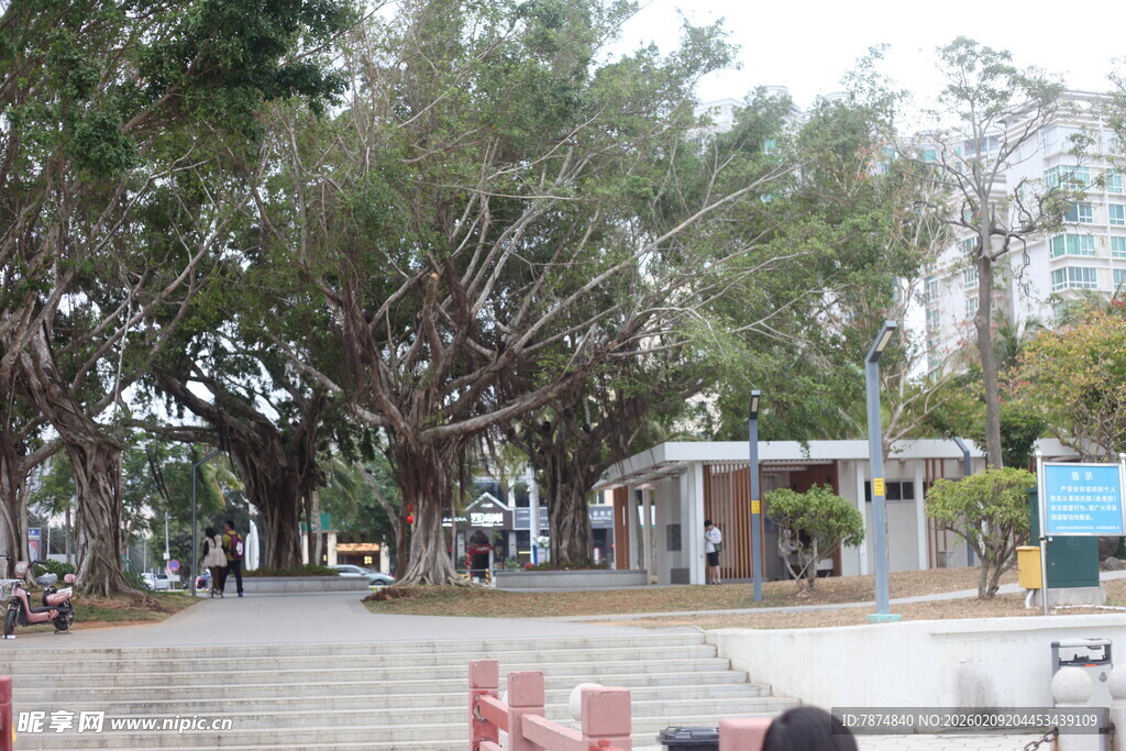 户外林荫场景