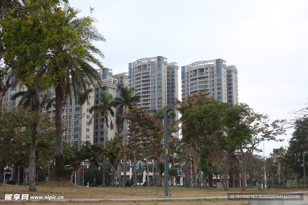城市公园边的高楼景观