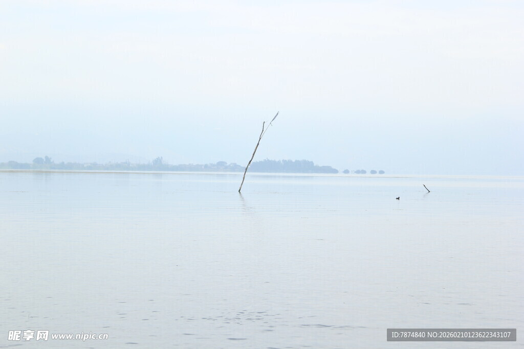 雾中水域景象