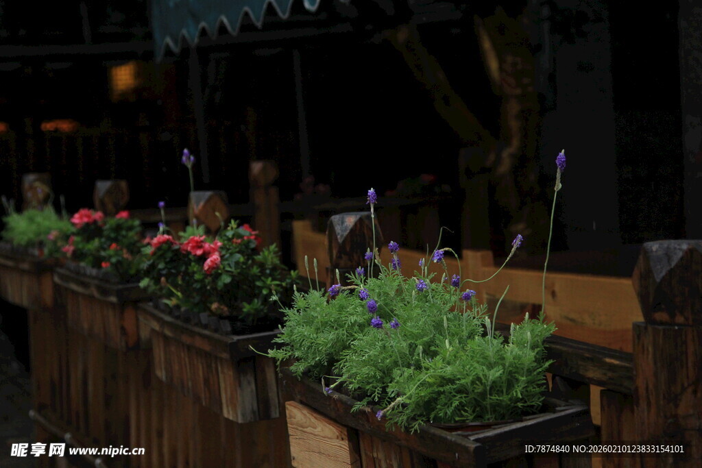 户外木质花箱装点绿植花卉