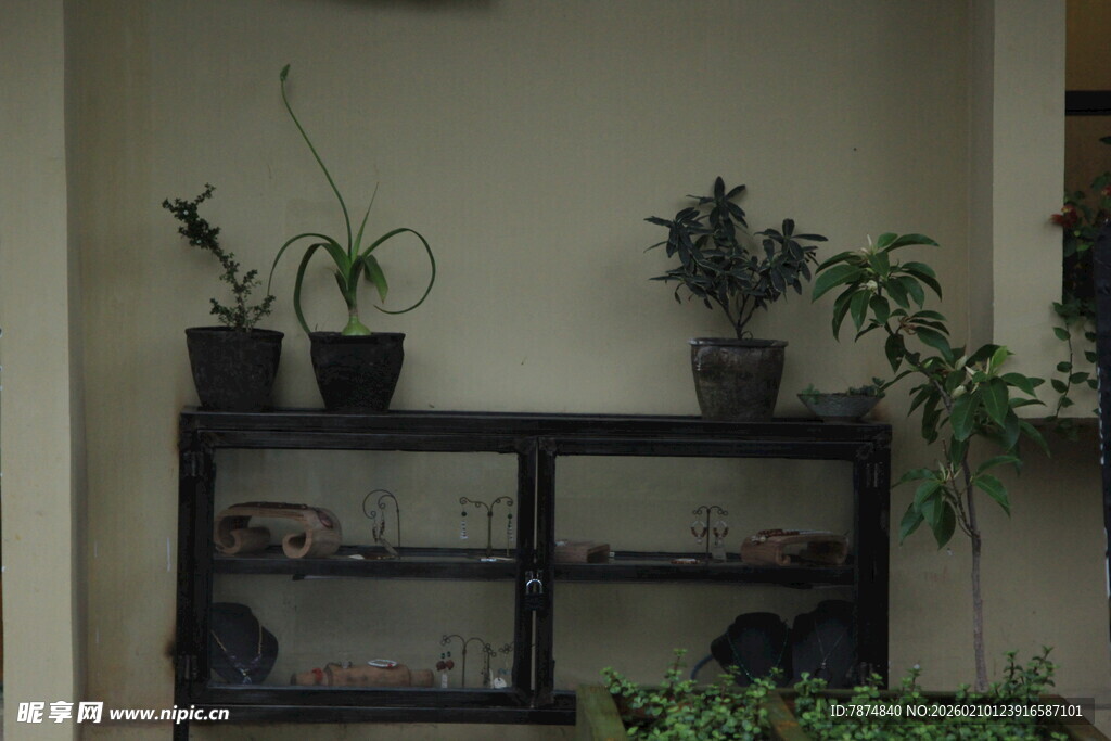 室内置物架上的绿植组合