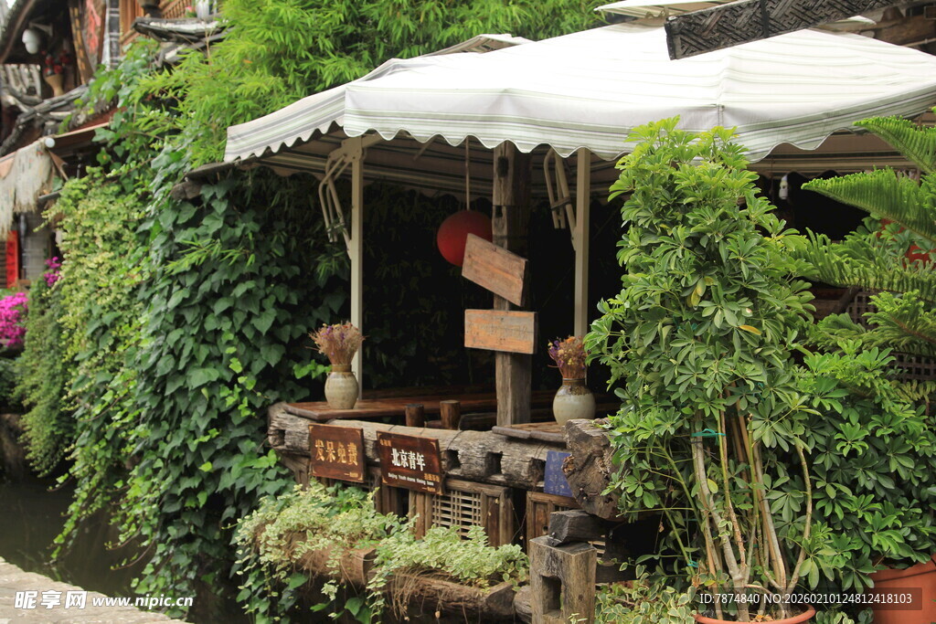 绿植环绕的户外休闲小角落