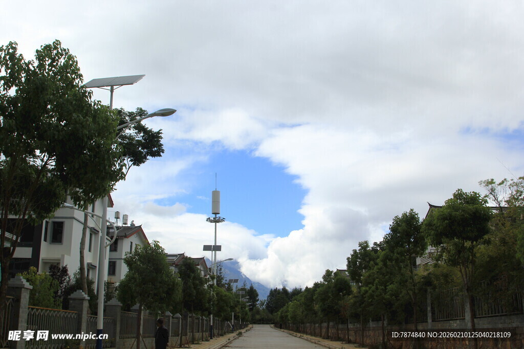 乡村小路旁的绿树与天空